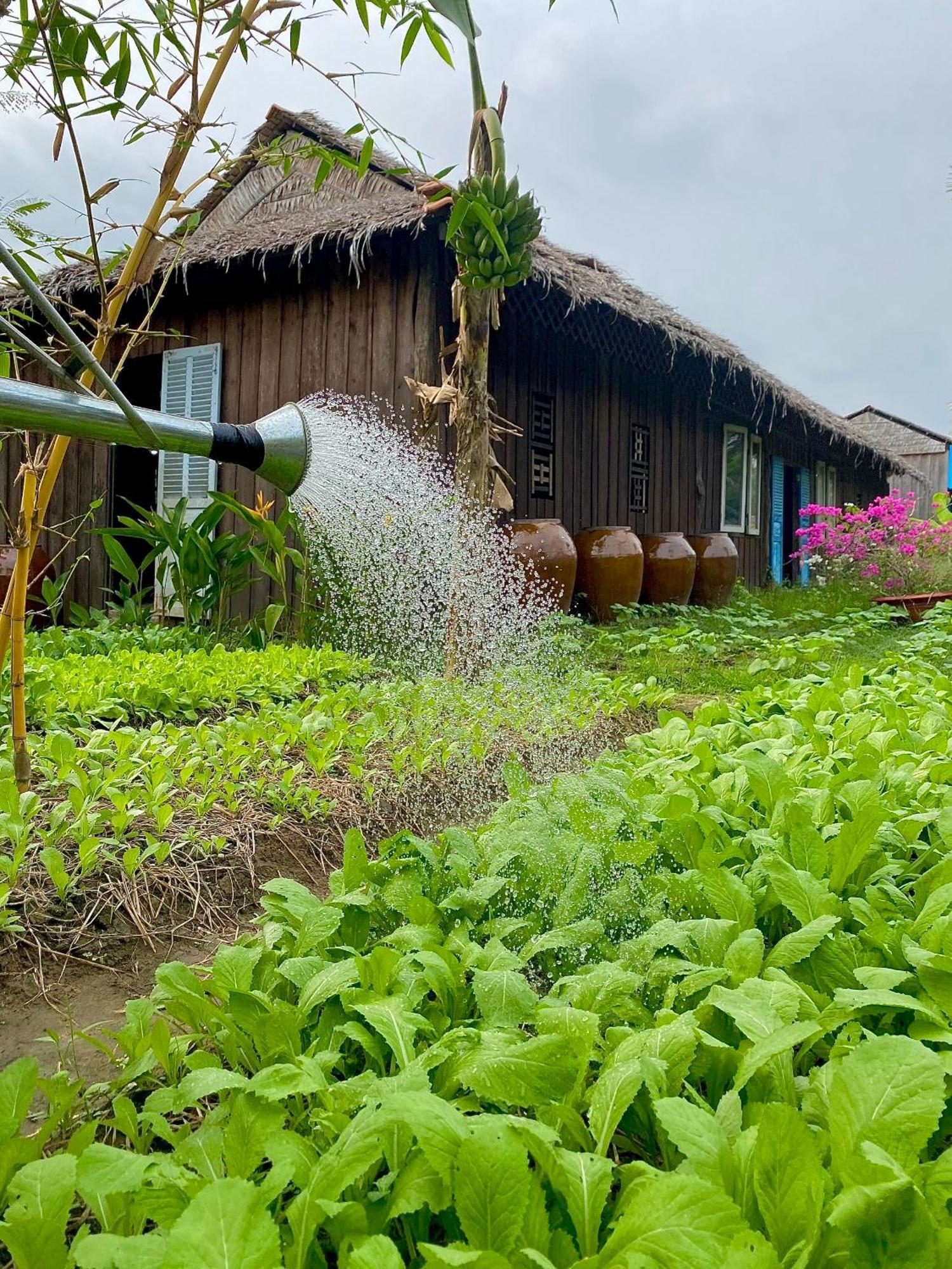 Mekong Silt Ecolodge Can Tho Εξωτερικό φωτογραφία